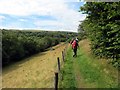 Llwybr Ynyswen Path