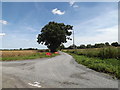 TM1769 : Plash Road, Bedingfield by Geographer