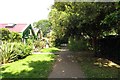 Footpath on Eel Pie Island