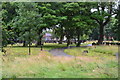 Hanley Cemetery from the Trent & Mersey Canal