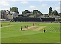 Chelmsford: white-ball cricket