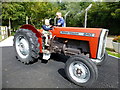 Massey Ferguson 240 tractor, Tannaghmore Gardens