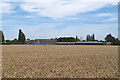 Looking over wheat crop to Fairfields Farm, Wormingford