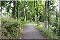 SH6142 : Path to the Tower at Plas Brondanw by Jeff Buck