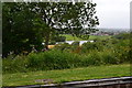 A glimpse of Top Flash from canal embankment on the Middlewich Branch