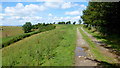 Track beside New House Wood