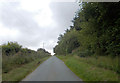 Long Mountain road passing woodland near Cwm-Dugan