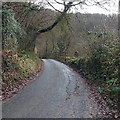 Minor patches on a minor road near Tintern Cross