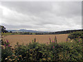 SJ2605 : Across the fields from the barn near Short Cross by John Firth