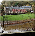 Houses on the west bank of the River Angiddy