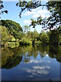 The lake on the Bosvathick Estate