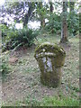 Celtic cross in the grounds of Bosvathick - 3