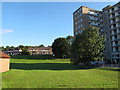 Open space off Raynville Road, Bramley