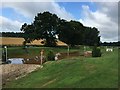 Stafford Horse Trials: water obstacle