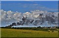 Forage Harvester Fire Near Roch