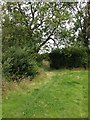 Bridleway towards Elkington