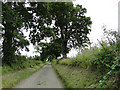 Verges neatly trimmed in Watery Lane, Matlaske