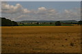 View east from the railway, past the edge of Willow Garth