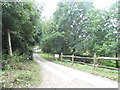 Path off Woodhill Lane, Shamley Green