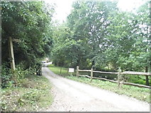 TQ0343 : Path off Woodhill Lane, Shamley Green by David Howard
