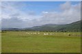 Farmland north of Harlech