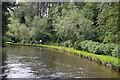 Cyclists on the towpath