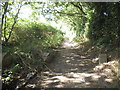 Hixberry Lane, Tyttenhanger