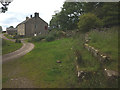 Overgrown water trough, Walltown Farm