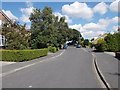 Mayfair Avenue - looking towards Park Lane