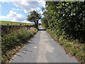 SE0718 : Broom Hill Road - Forest Hill Road by Betty Longbottom