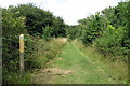 Bridleway to Dog Farm