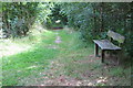 Bench in the Water End woodland