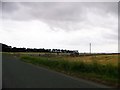 Minor road near Monikie