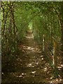 Footpath to Scaynes Hill Road