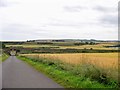 Road to Lunan Bay