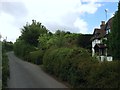 Snowdrop Cottage, Snowdrop Lane