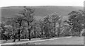 View NE from Balfour Beatty Woodhead Tunnel construction camp, 1954