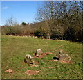 Wooden rabbits at the edge of a nature trail, Malpas, Newport