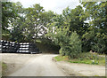 Tyre stores on bend near Middle Heldre