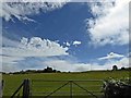 Gate and Summer sky Tyddyn-y-graig