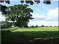 Farmland and hedgerow near Sharpley