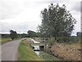 Weir, on Sedgemoor Old Rhyne