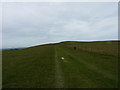TQ4705 : Between Beddingham Hill and Firle Beacon by Richard Law