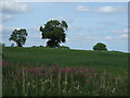 Farmland near Shielhill