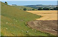 SU2378 : Base of downland hills at Aldbourne, Wiltshire by Edmund Shaw