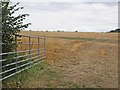 Field of stubble, off Stowey Lane