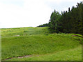 Hillside below Bught Knowe