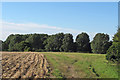 Footpath on arable field, near Workhouse Green, Little Cornard