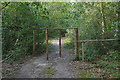 Horse barriers, Frensham Great Pond