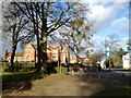 SP3277 : Trees at the junction of Spencer Avenue and Warwick Road. Coventry by Robin Stott